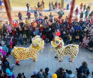 Lunar New Year Celebrations in NYC | MommyPoppins - Things to do in New