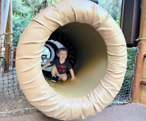 Disneyland with a baby: Redwood Creek Challenge Trail