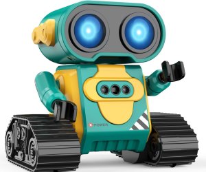 photo of the Hamourd Remote Control Robot