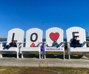 The Best Things to Do in Chincoteague, VA with Kids