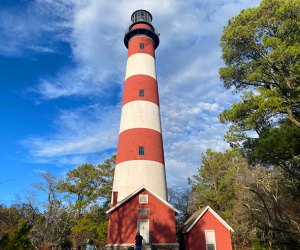 The Best Things to Do in Chincoteague, VA with Kids