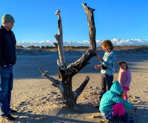 The Best Things to Do in Chincoteague, VA with Kids