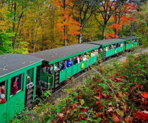 10 Fall Train Rides for Washington, DC Families | Mommy Poppins
