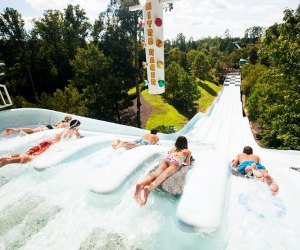 Best Outdoor Water Parks in the US: Water Country USA in Williamsburg, VA