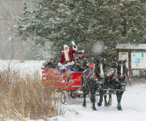 Photo of Santa on a horse-drawn sleigh, Best of 2022.