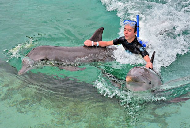 Atlantis swimming with dolphins