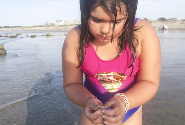 Search for seashells along Cape Cod's many gorgeous beaches.