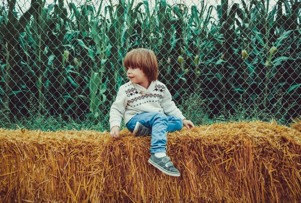 Fall is full of fun things to do with kids in Connecticut, from hay rides to corn mazes, pumpkin patches and fall foliage.