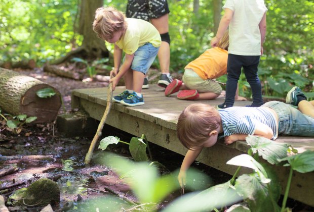 Children explore nature in Darien. Photo by Julia Arstorp Photography courtesy of Darien Nature Center