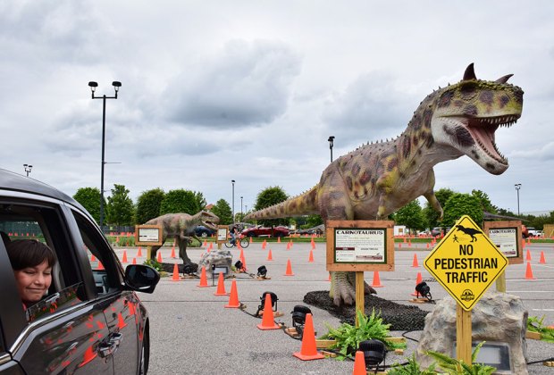 Dino Safari takes visitors on a prehistoric tour of more than 40 life-sized, moving dinosaurs in the parking lot at Deer Park's Tanger Outlets. 