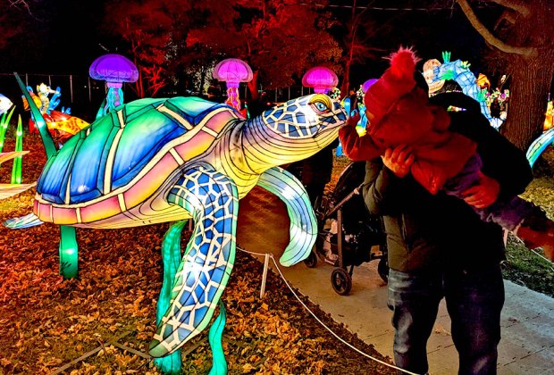 Come nose-to-nose with brilliantly lit sea turtles and more magical creatures during a visit to the NYC Winter Lantern Festival.