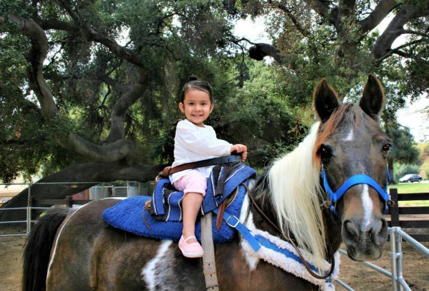 Best Petting Zoos Around La Where Kids Can Get Their Animal Fix Mommypoppins Things To Do In Los Angeles With Kids