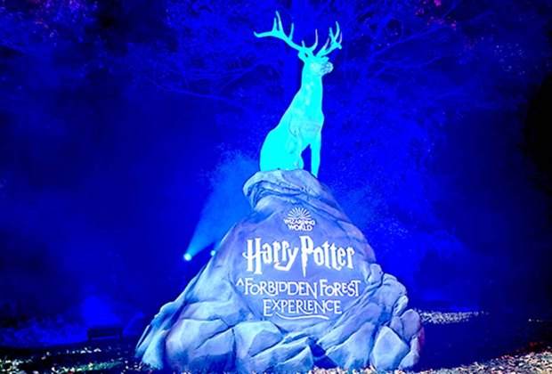 The Harry Potter Forbidden Forest Experience has transformed FDR State Park into a magical walk-through.