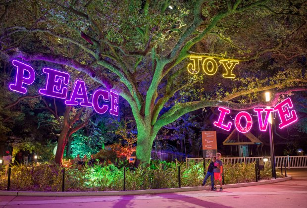Zoo Lights at the Houston Zoo