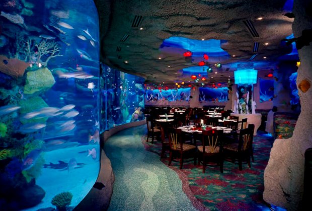Restaurants Open On Christmas Day 2022 Houston Restaurants Open On Christmas Day In Houston | Mommypoppins - Things To Do In  Houston With Kids