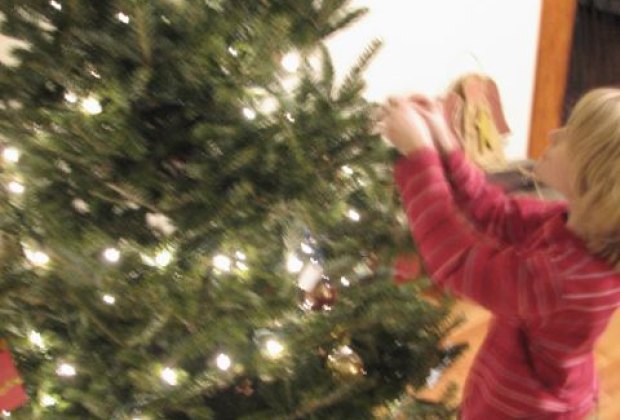 every year i find myself googling the same information how do i make sure that my christmas tree ends up being made into mulch and not heaped in the - Christmas By Myself This Year every year i find myself googling the same information how do i make sure that my christmas tree ends up being made into mulch and not heaped in the - Christmas By Myself This Year