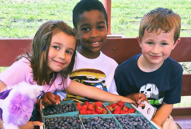 Strawberry picking near NYC: Johnson's Corner Farm