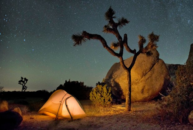 Camping at Joshua Tree National Park. Photo by Hannah Schwalbe/NPS 