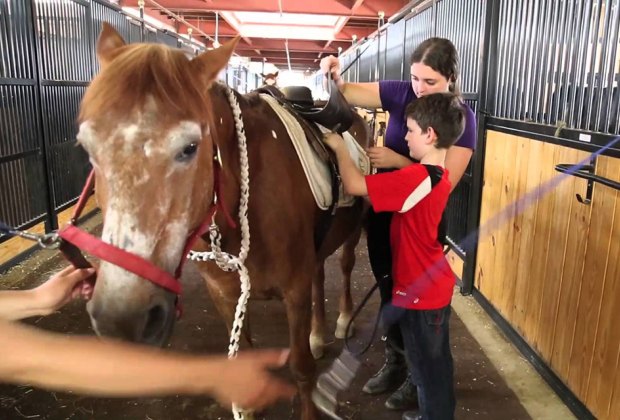 Learn to saddle up your horse at the New York Equestrian Center. Photo courtesy of the center