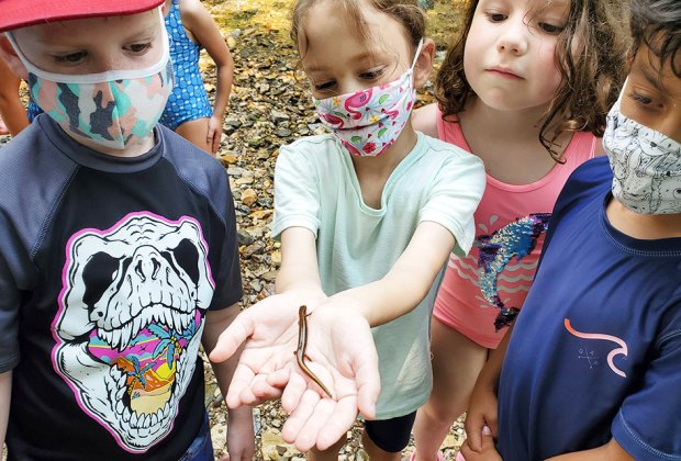 Make a slimy new friend at Morris Arboretum summer camp. Photo courtesy of the arboretum