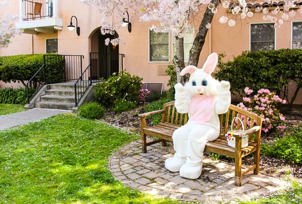 Bruch with the bunny. Photo courtesy of Easter at the Fairmont Sonoma Mission Inn