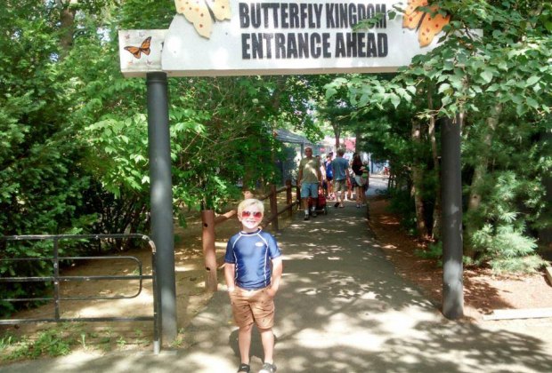 Image of a child in front of York's Wild Kingdom in Maine.