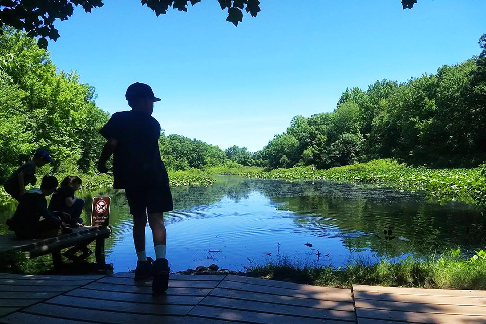 Tenafly Nature Center FamilyFriendly Hikes and Outdoor Fun for NJ